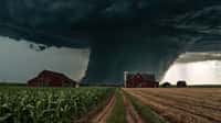 Une reproduction de la très large tornade d'El Reno par l'intelligence artificielle. © Tofazzal, Adobe Stock
